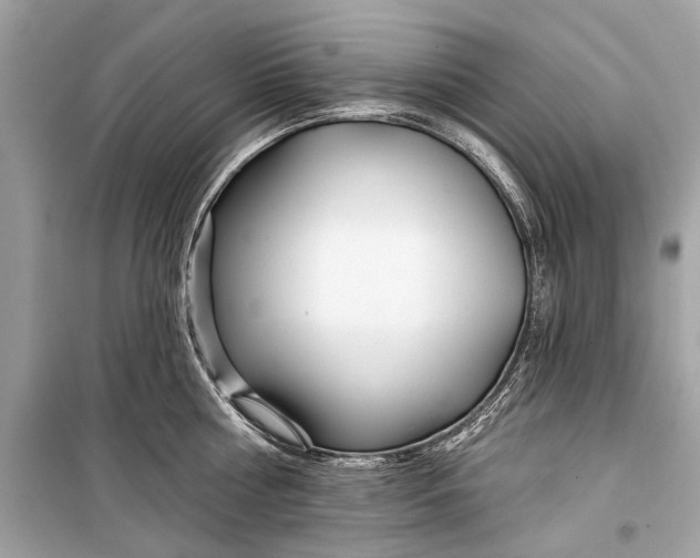 X0000099300810200805161347