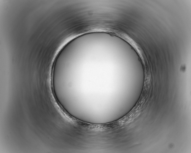 X0000099300811200805161347