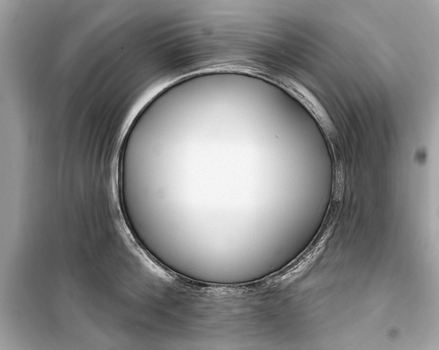 X0000099300812200805161347