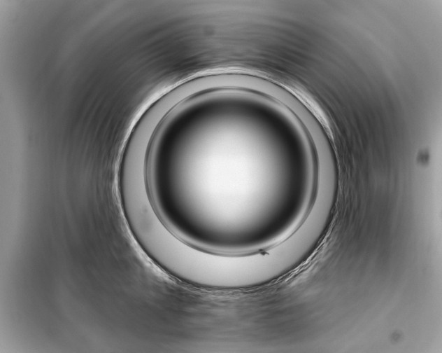 X0000099300813200805161347