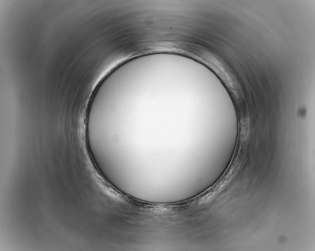 X0000099300814200805161347