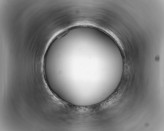 X0000099300815200805161347