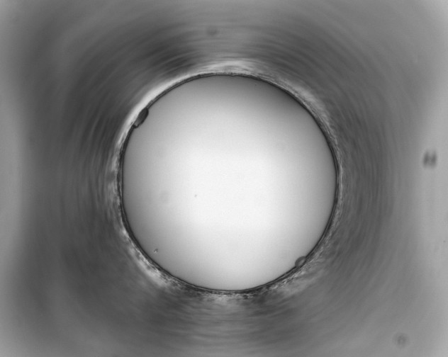 X0000099300816200805161347