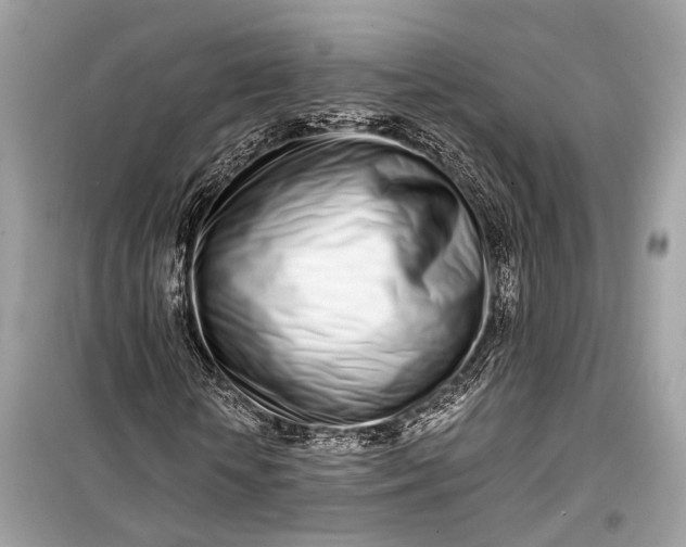 X0000099300818200805161346