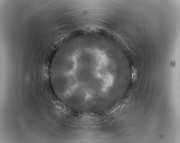 X0000099300819200805161346