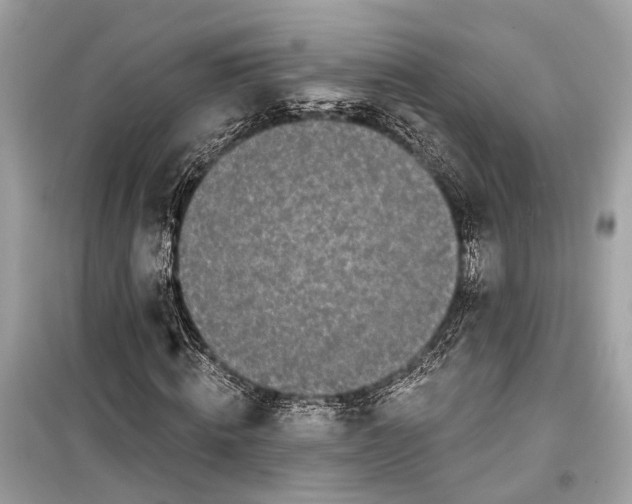 X0000099300820200805161346