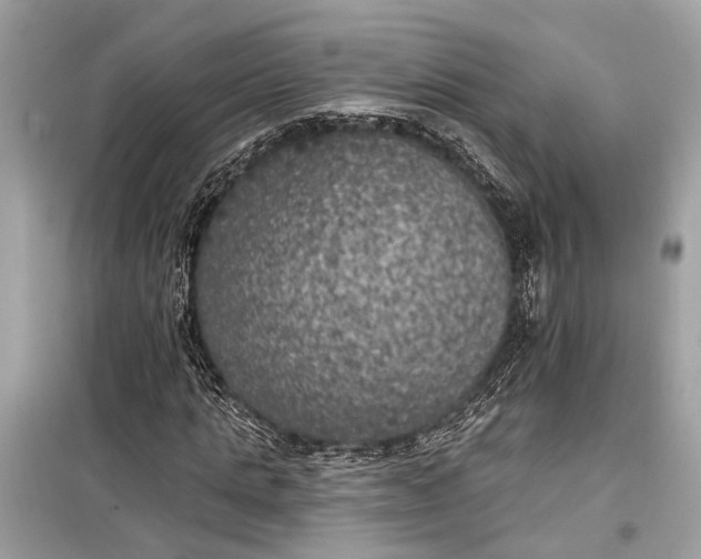 X0000099300821200805161346