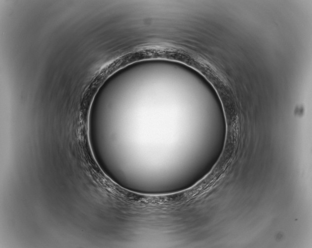 X0000099300822200805161346