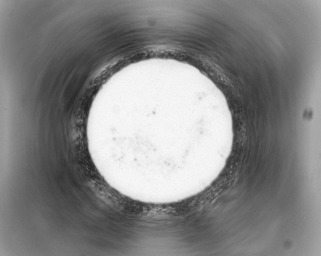 X0000099300824200805161346