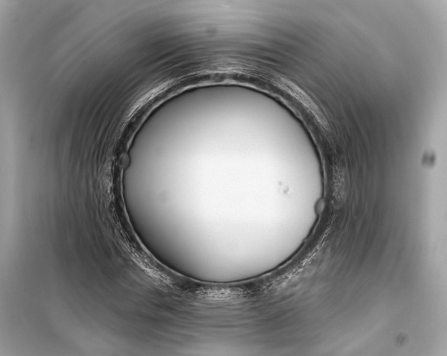 X0000099300826200805161346