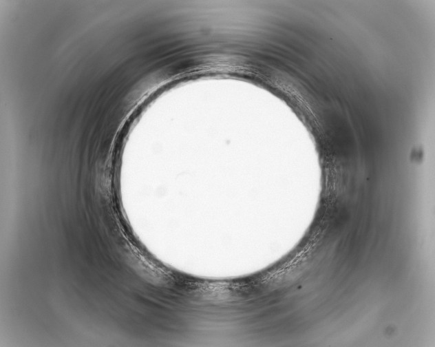 X0000099300828200805161346