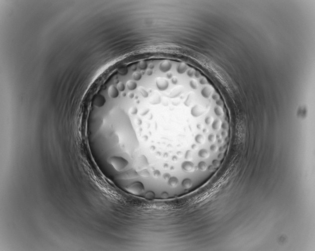 X0000099300830200805161346