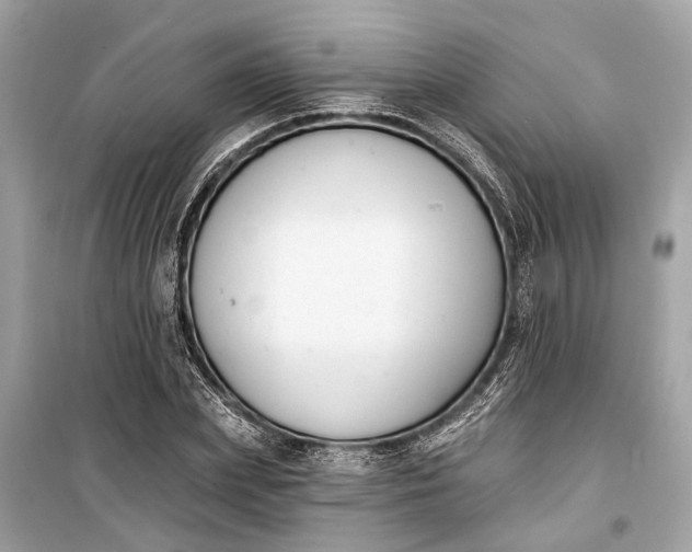 X0000099300831200805161346