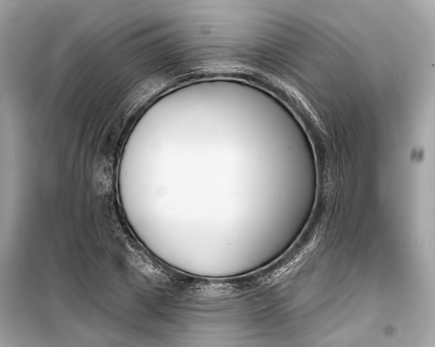 X0000099300833200805161346