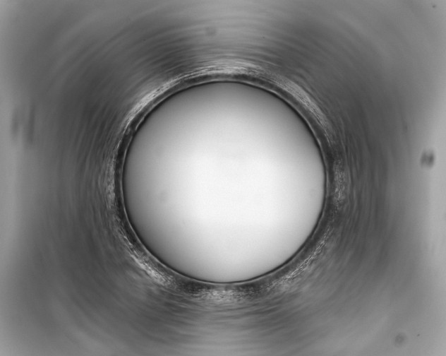 X0000099300834200805161346