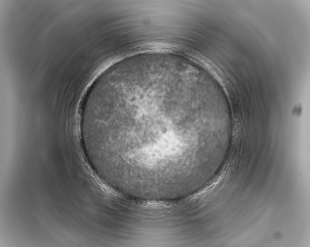 X0000099300835200805161347