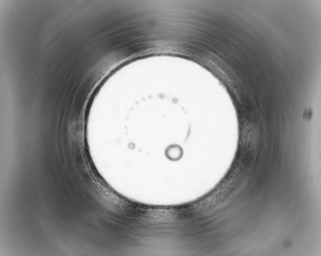 X0000099300836200805161347