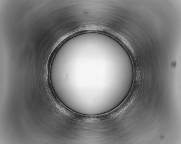 X0000099300837200805161347