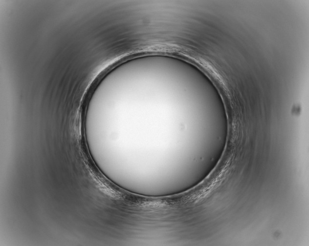 X0000099300838200805161347