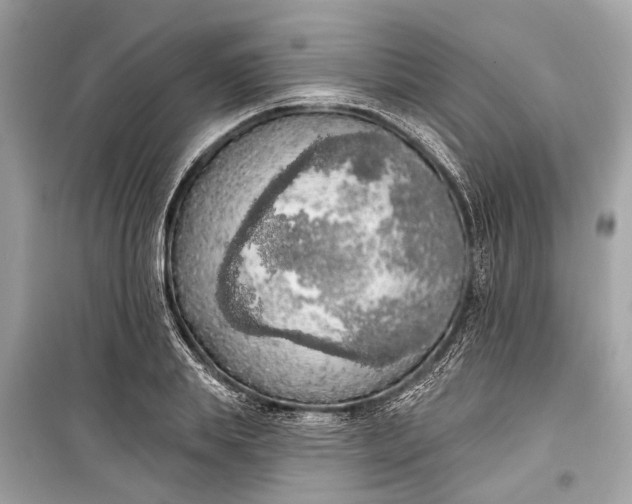 X0000099300839200805161347