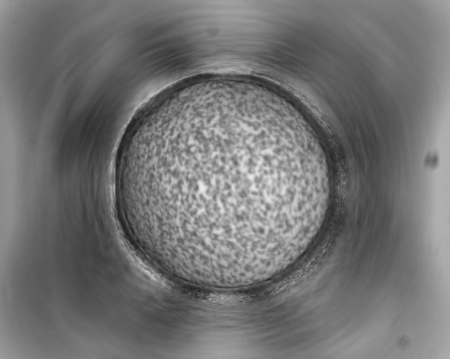 X0000099300840200805161347