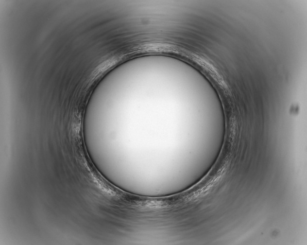 X0000099300841200805161347