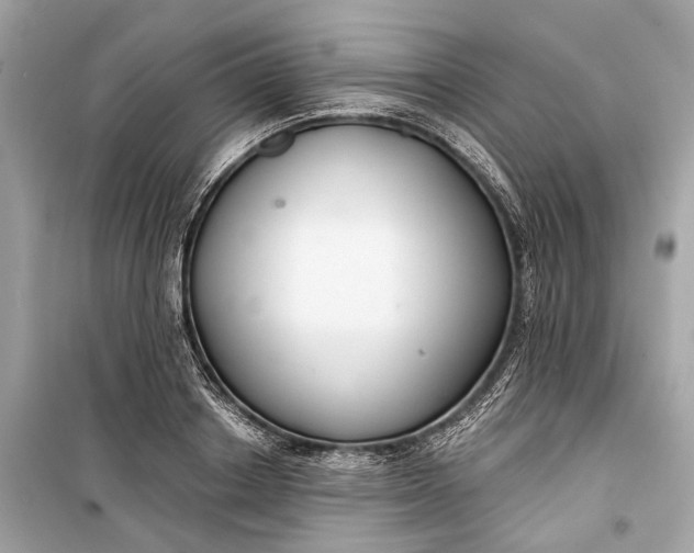 X0000099300842200805161347