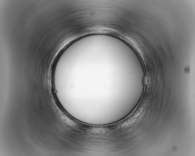 X0000099300843200805161347