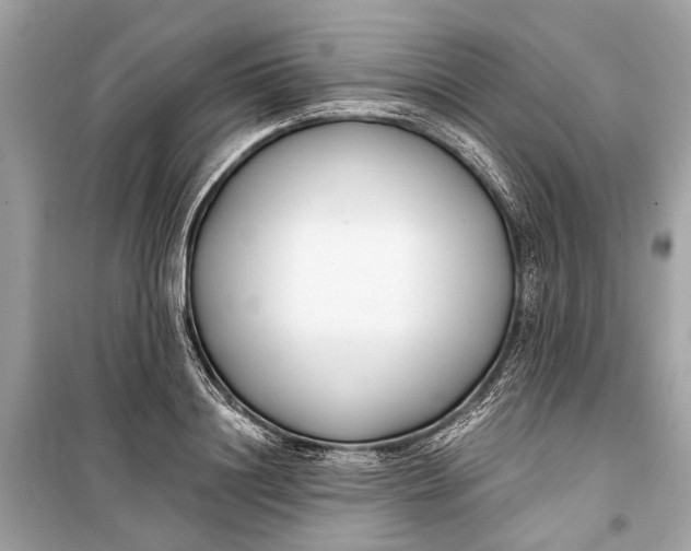 X0000099300844200805161347