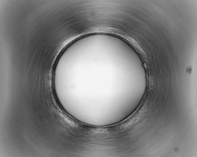 X0000099300846200805161347