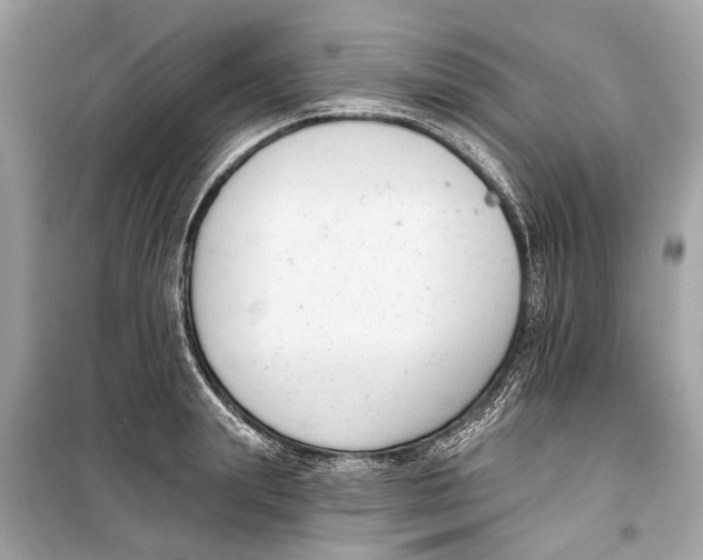 X0000099300847200805161347