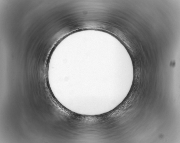 X0000099300848200805161347