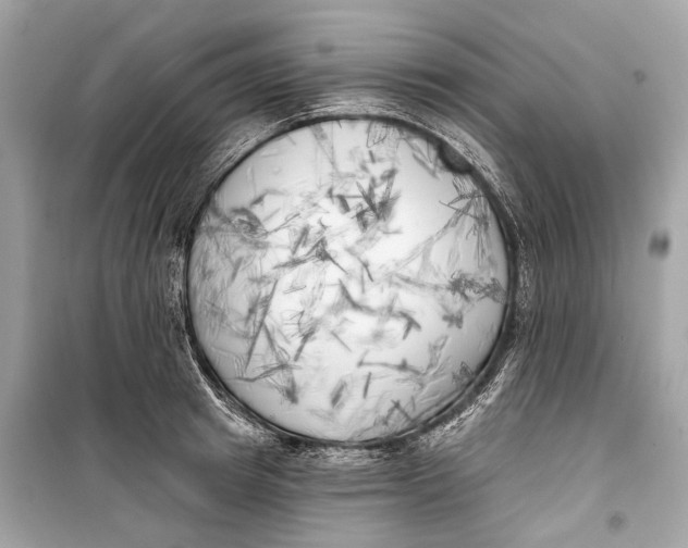 X0000099300849200805161347