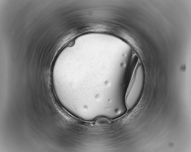 X0000099300850200805161347