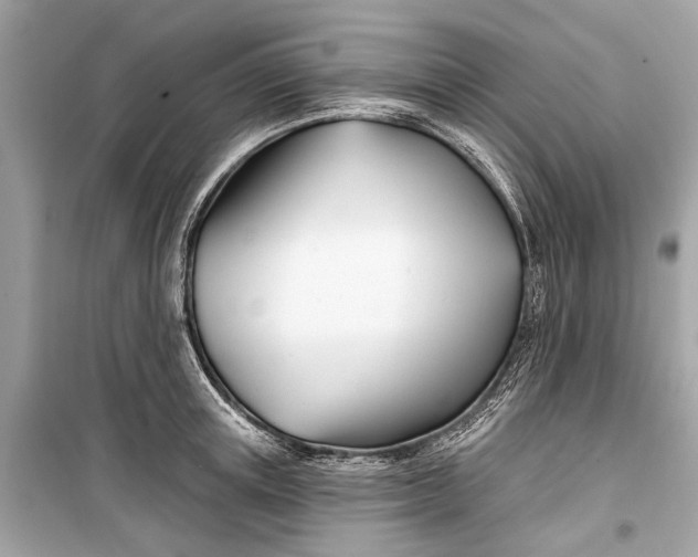 X0000099300851200805161347