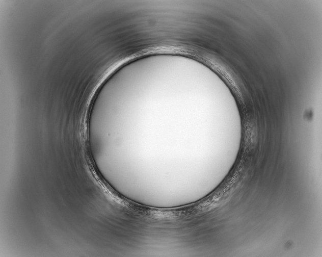 X0000099300852200805161347