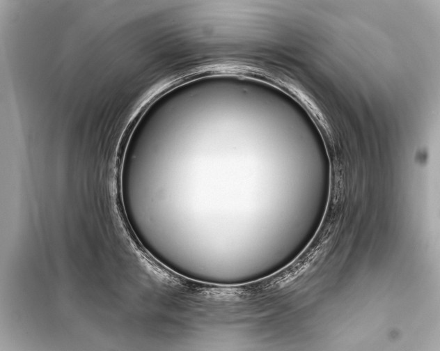 X0000099300853200805161347