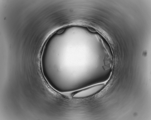 X0000099300854200805161347