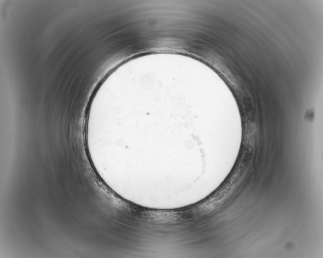 X0000099300856200805161347