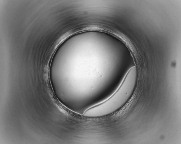 X0000099300858200805161347