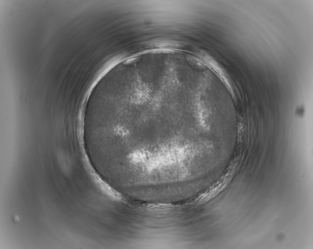 X0000099300859200805161347