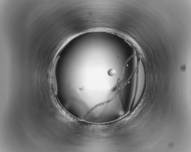 X0000099300860200805161347