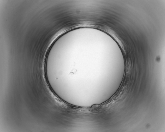 X0000099300861200805161347