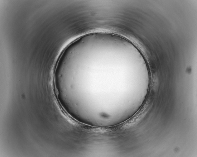 X0000099300862200805161347