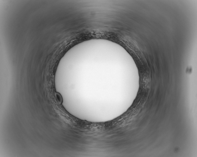 X0000099300865200805161346