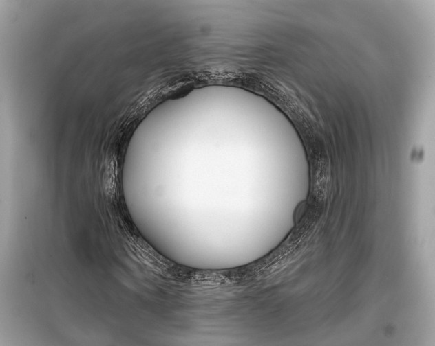 X0000099300866200805161346