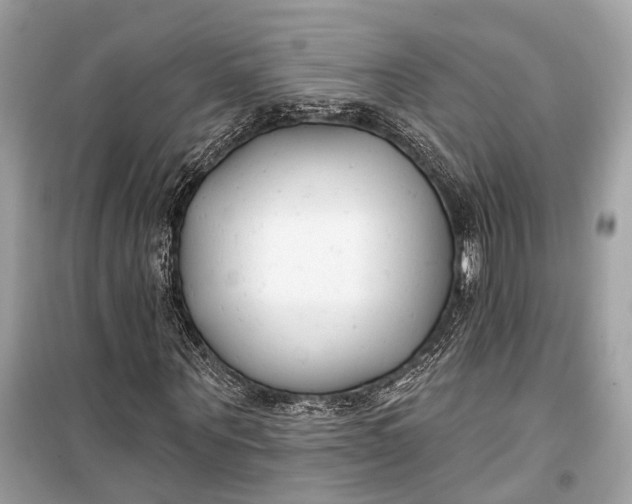 X0000099300867200805161346