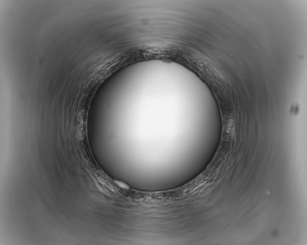 X0000099300868200805161346