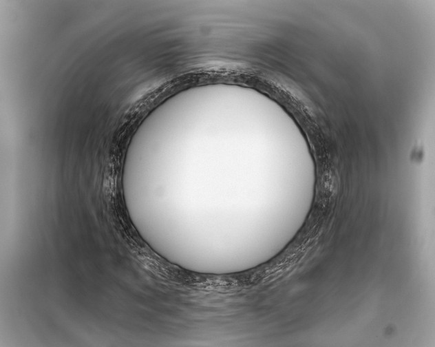 X0000099300869200805161346