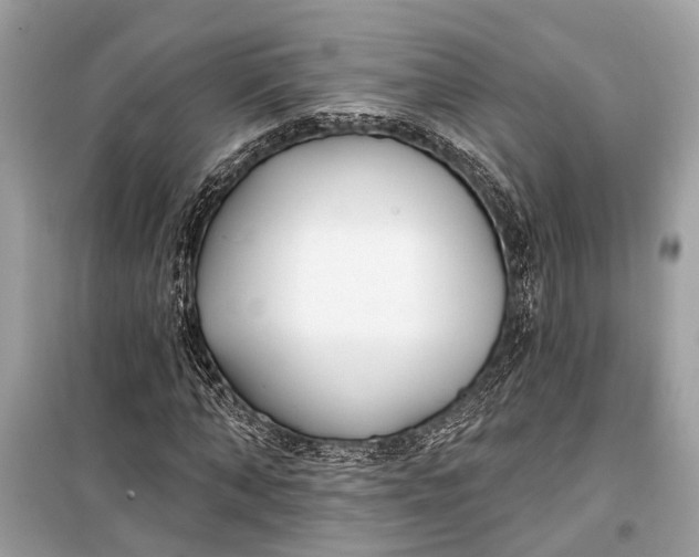 X0000099300870200805161346